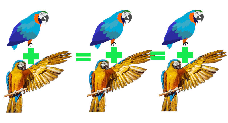 A schematic of a self-replicating chain of parrots + parrot blueprints.